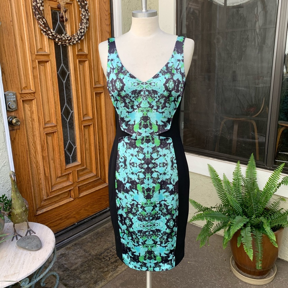 JAYGODFREY Green Print Dress Women’s Size 4 EUC